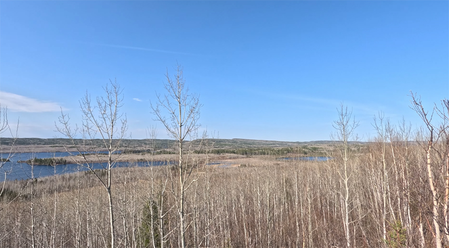 Saucer Lake 1