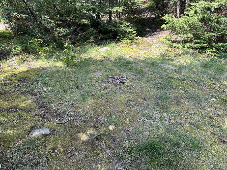 Sea Gull Lake Campsite 4