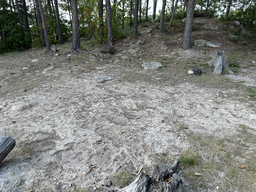 Sea Gull Lake Campsite 6