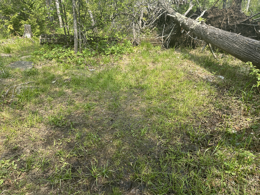 South Lake Campsite 4