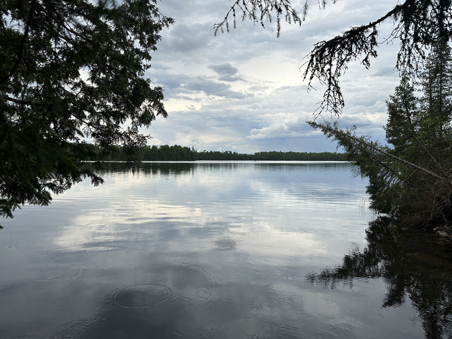 Swamp Lake 1