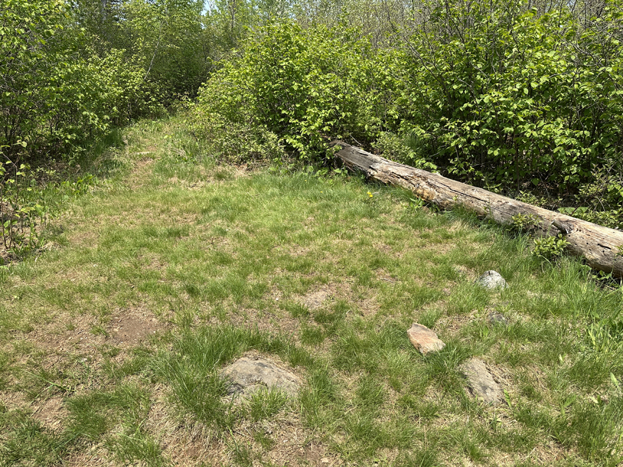 Topper Lake Campsite 5