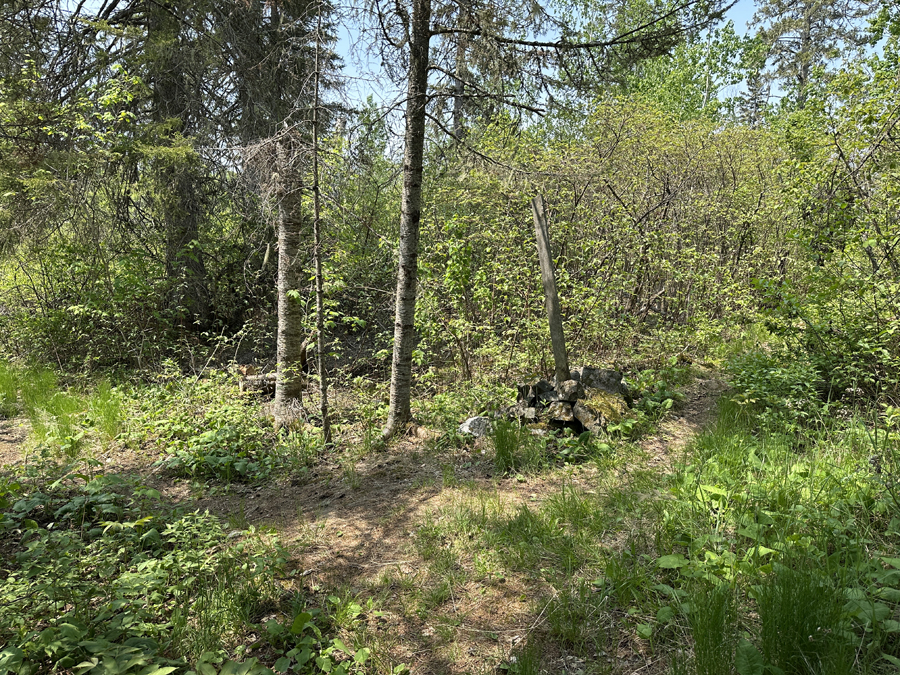 Topper Lake Campsite 8