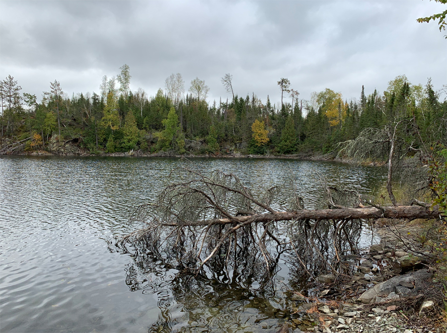 Ahsub Lake Campsite 9