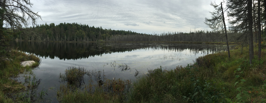 Angleworm Lake Campsite 2