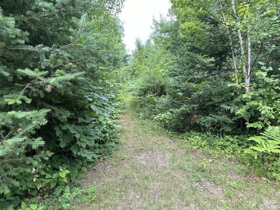 Basswood Lake to Ella Hall Lake Portage 5