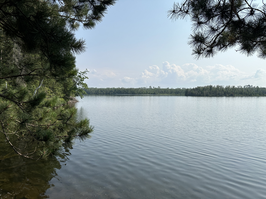 Ella Hall Lake Campsite 8