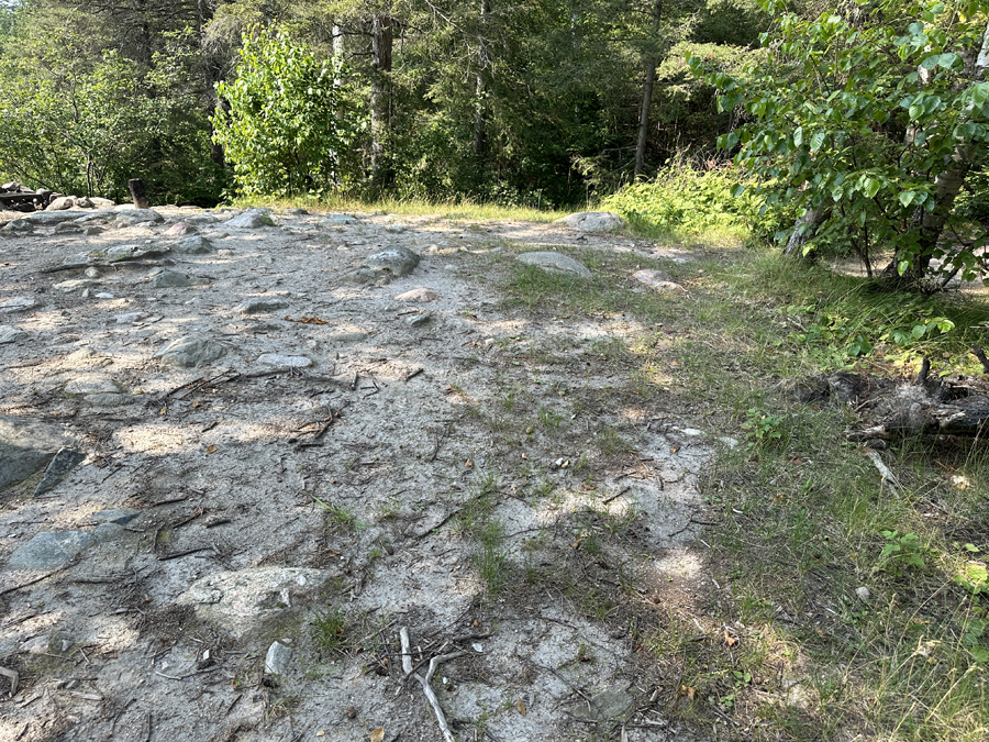 Ella Hall Lake Campsite 6