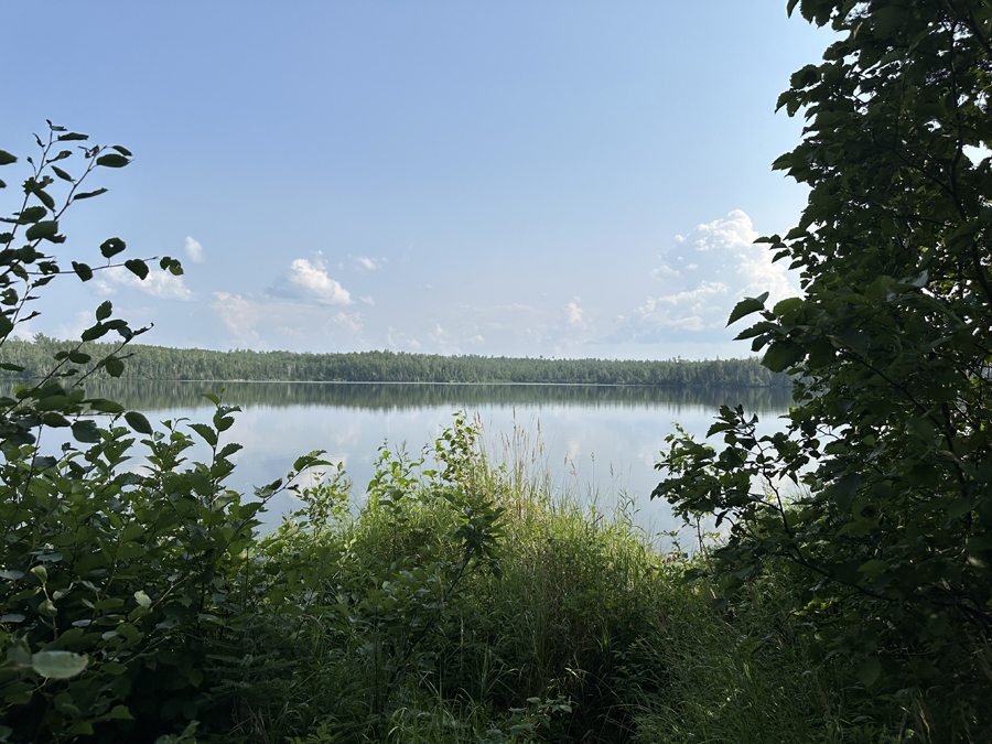 Ella Hall Lake Campsite 11