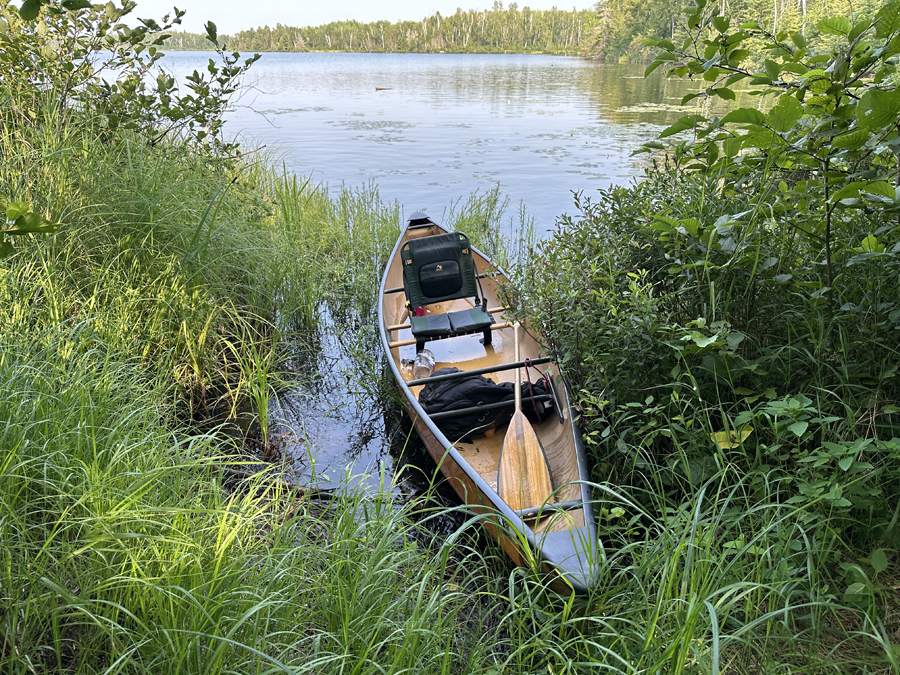 Ella Hall Lake Campsite 1