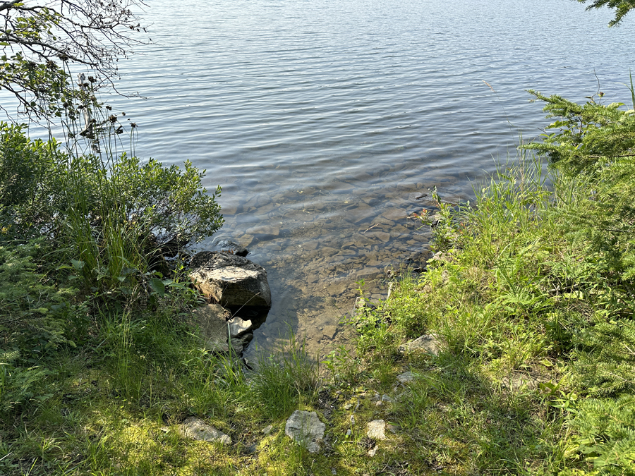 Ella Hall Lake Campsite 2