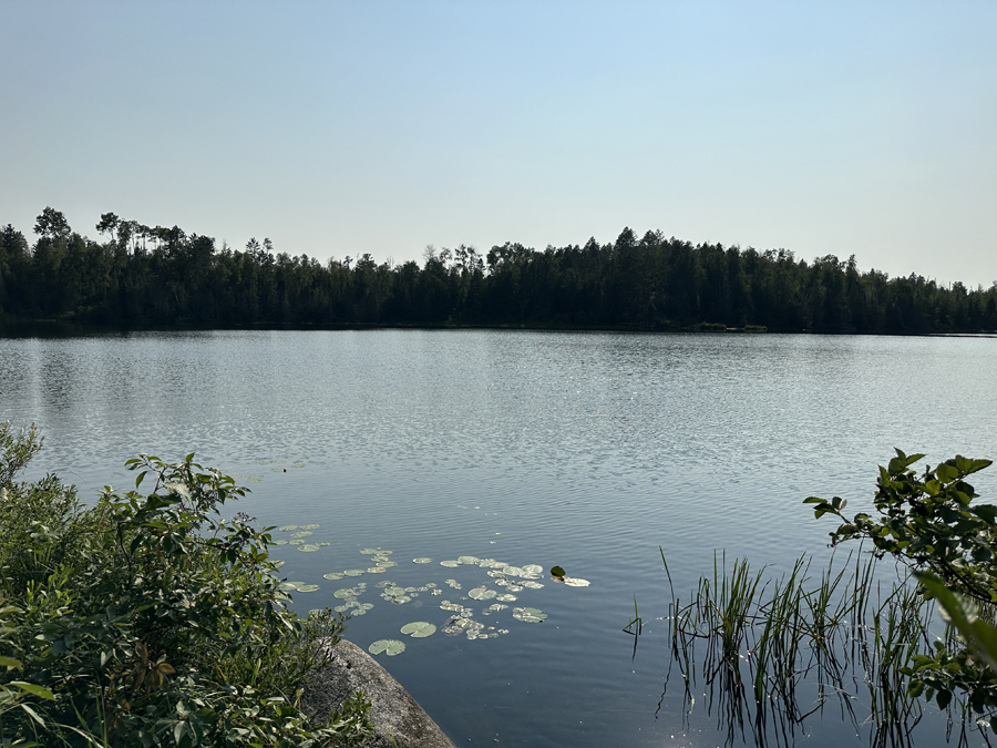 Ella Hall Lake Campsite 6