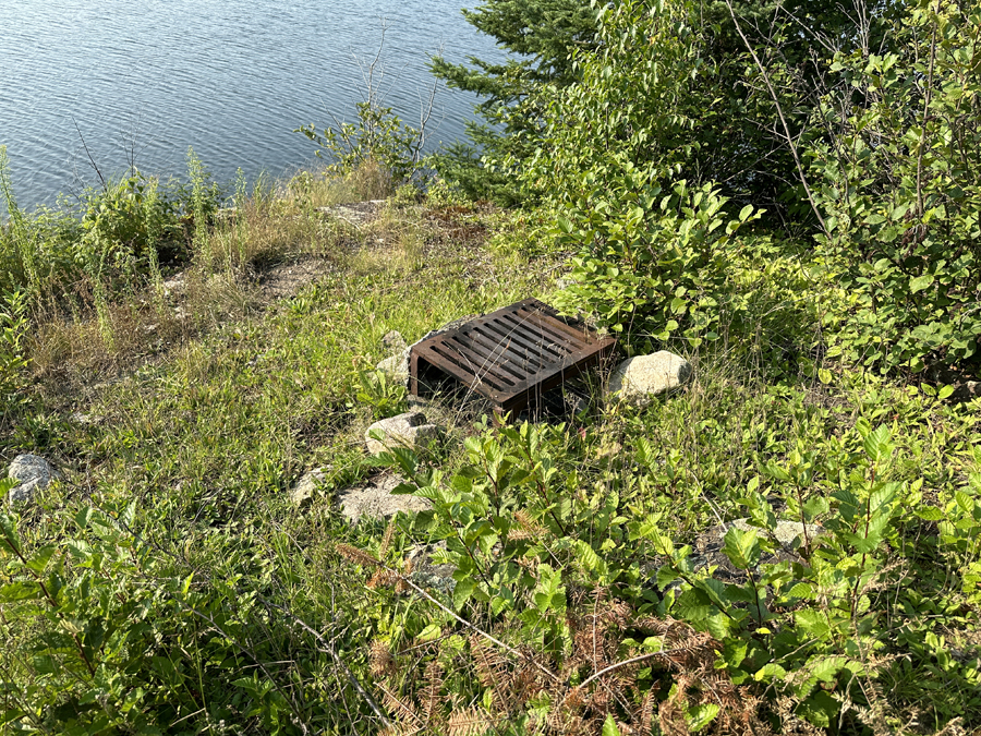 Ella Hall Lake Campsite 4