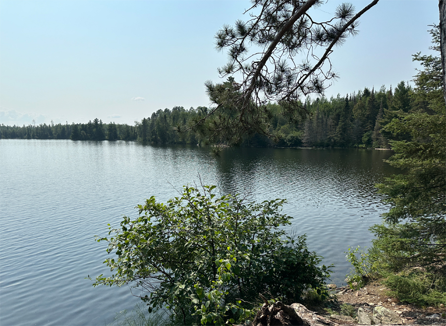 Ella Hall Lake Campsite 9