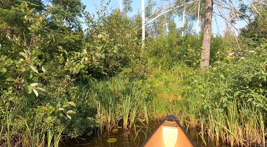 Ella Hall Lake Campsite 2