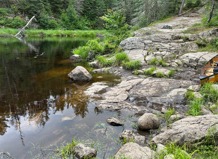 Fourtown Creek 1G