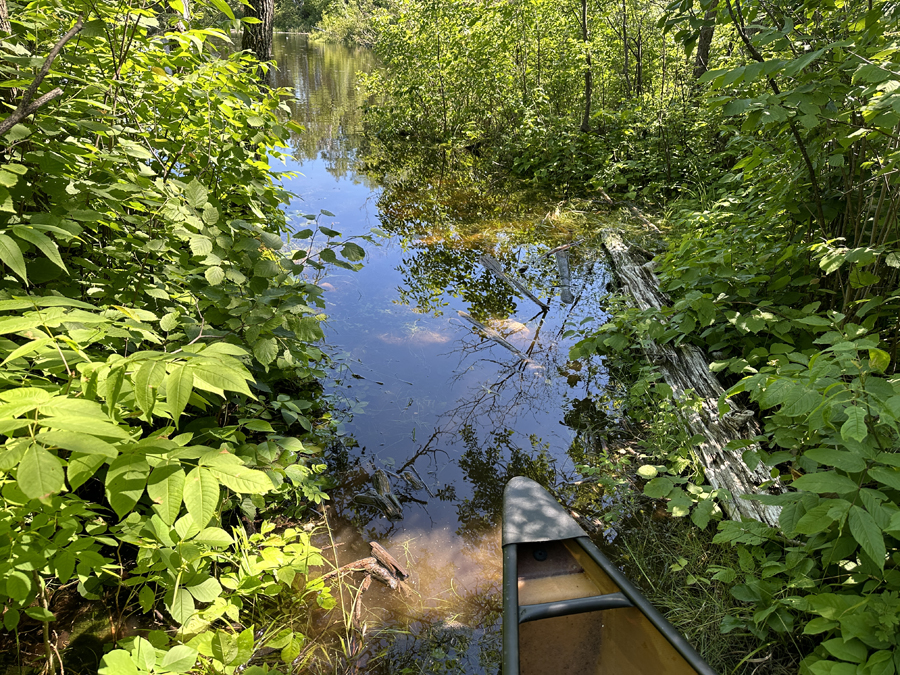 Good Lake to Basswood Lake Portage 4