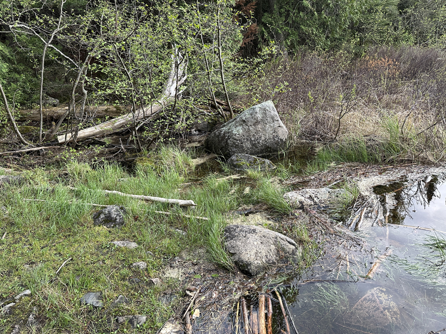 Lake Three to Horseshoe Lake Portage 1