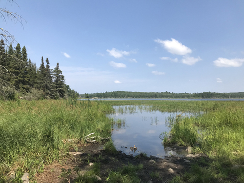 Wood Lake to Hula Lake Portage 2