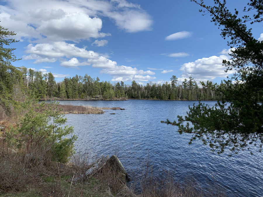 Lake One Campsite 10