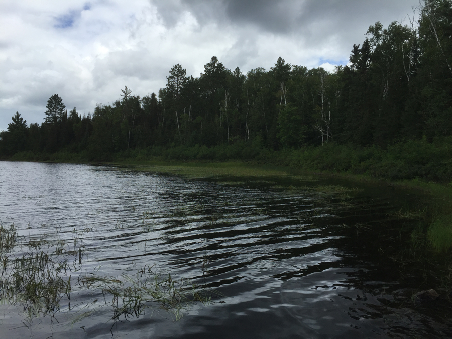 Little Gabbro Lake to South Kawishiwi River Portage 2