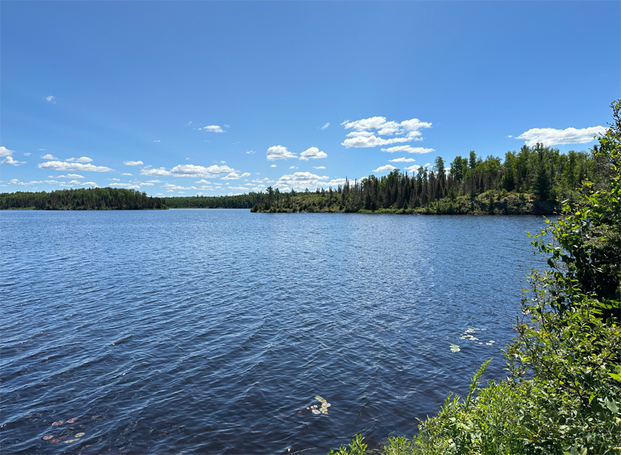 Wood Lake Campsite 10A