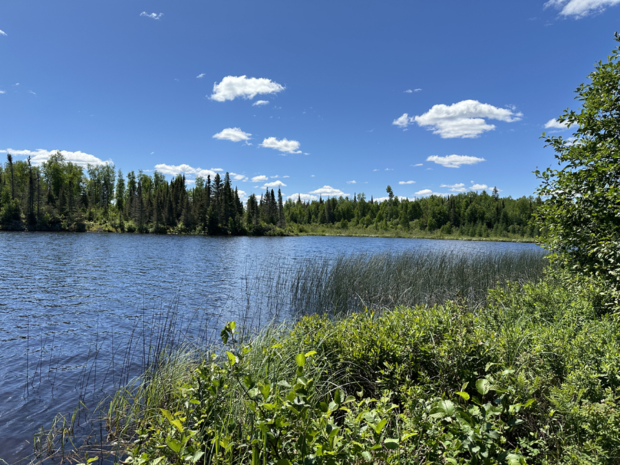 Wood Lake Campsite 9A