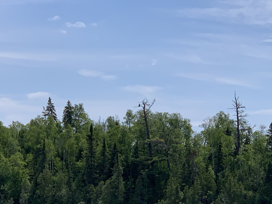 Brule Lake Campsite 7