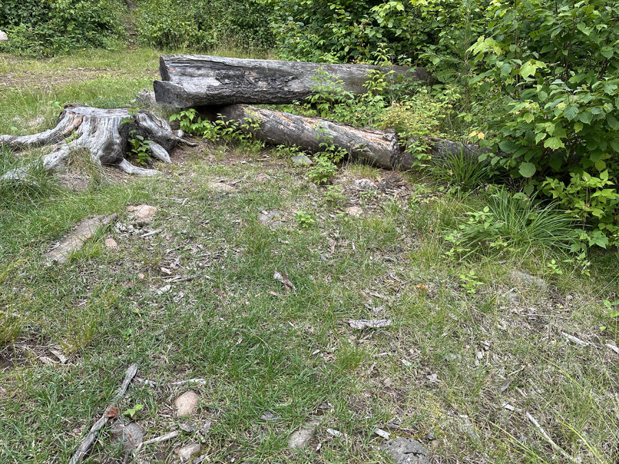 Burnt Lake Campsite 1