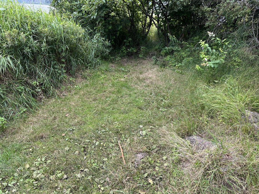 Burnt Lake Campsite 2