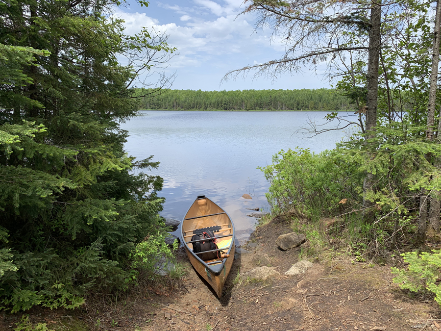 Homer Lake Campsite 1