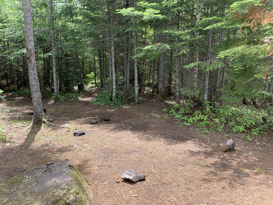 Homer Lake Campsite 6