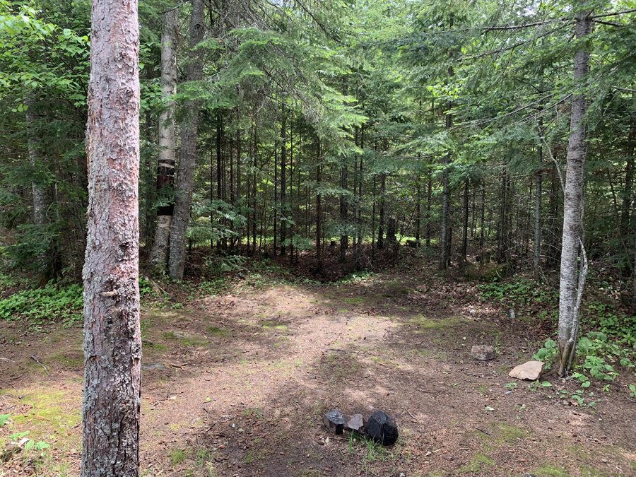 Homer Lake Campsite 7