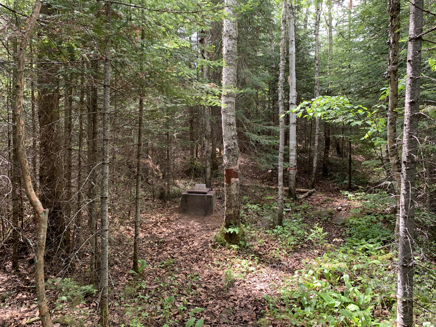 Homer Lake Campsite 8