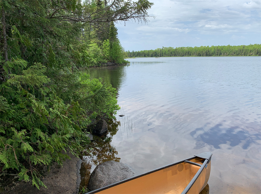 Homer Lake Campsite 9