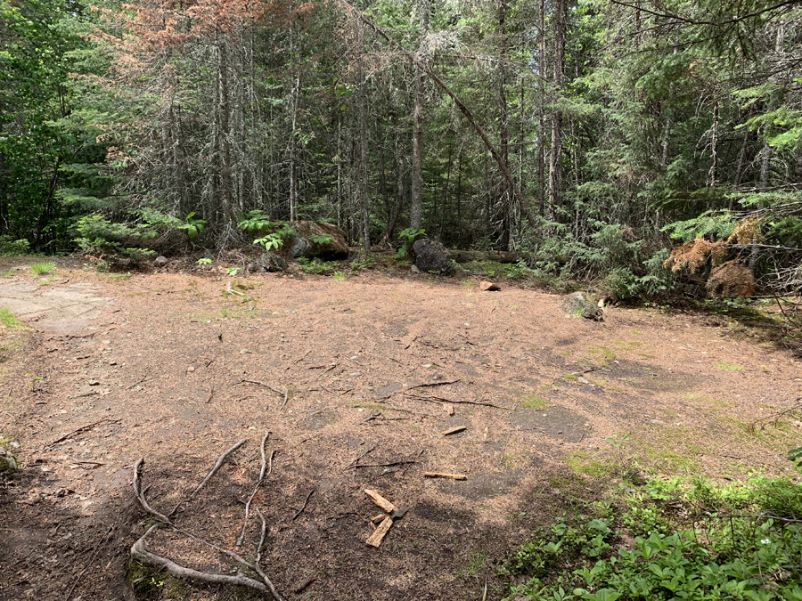 Homer Lake Campsite 6