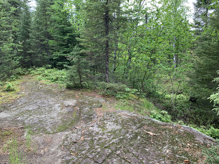 Homer Lake Campsite 7