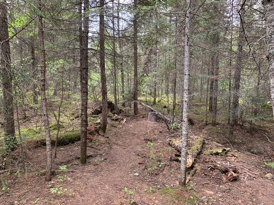 Homer Lake Campsite 8