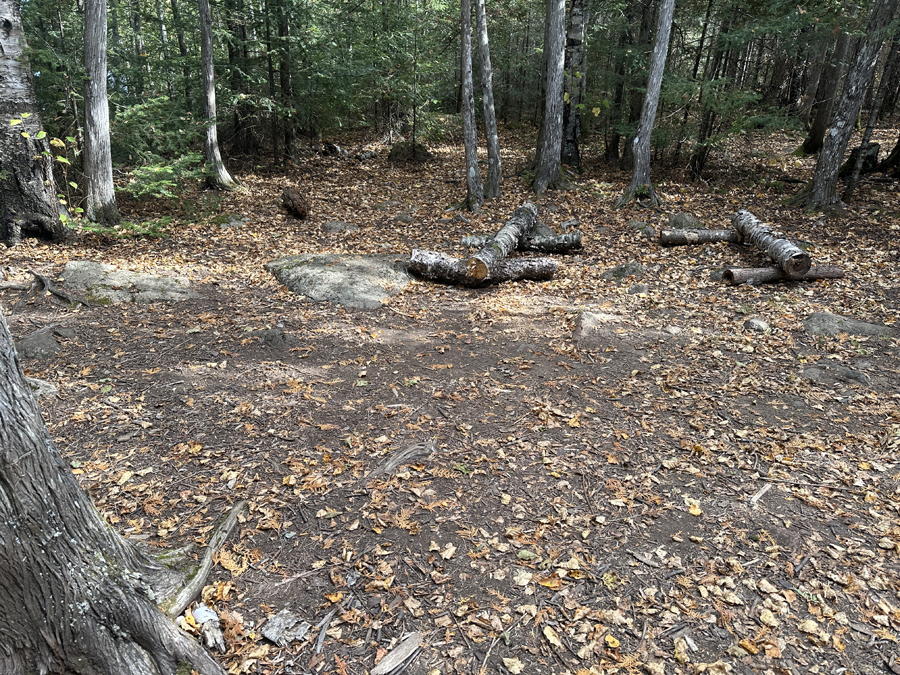 Kelly Lake Campsite 4