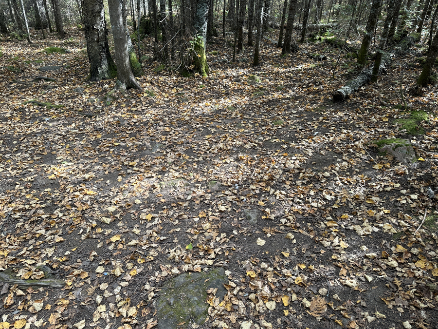 Kelly Lake Campsite 5