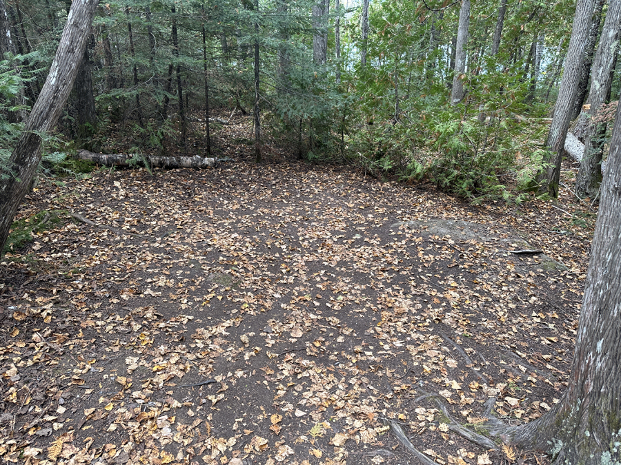 Kelly Lake Campsite 6