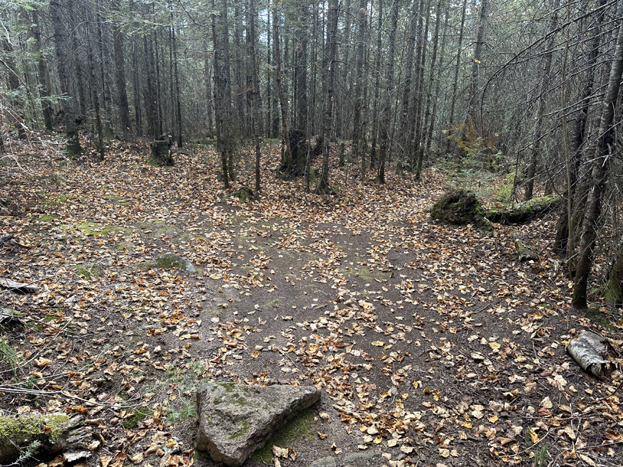 Kelly Lake Campsite 7