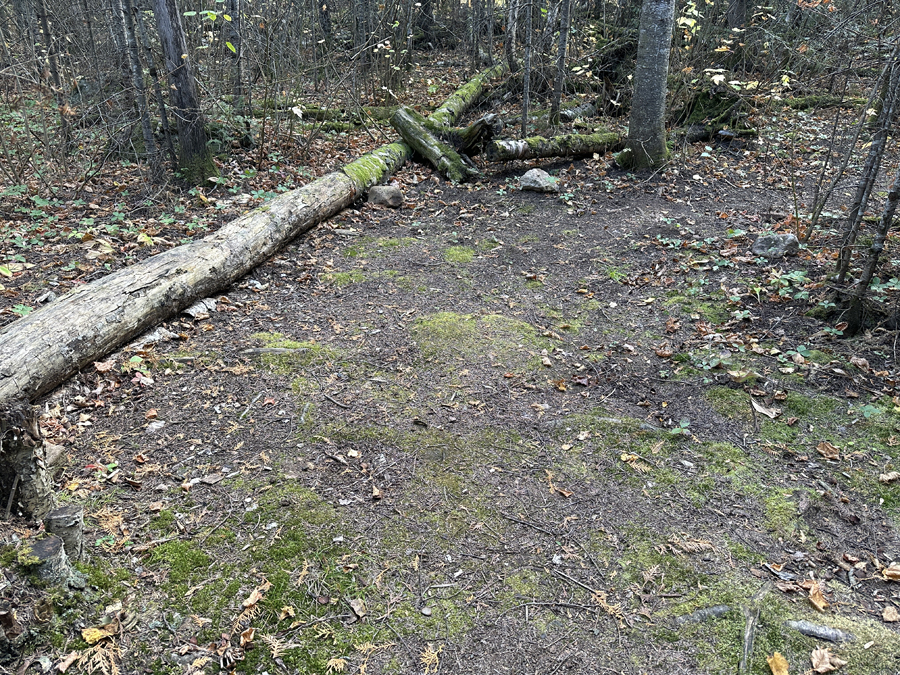 Kelly Lake Campsite 5