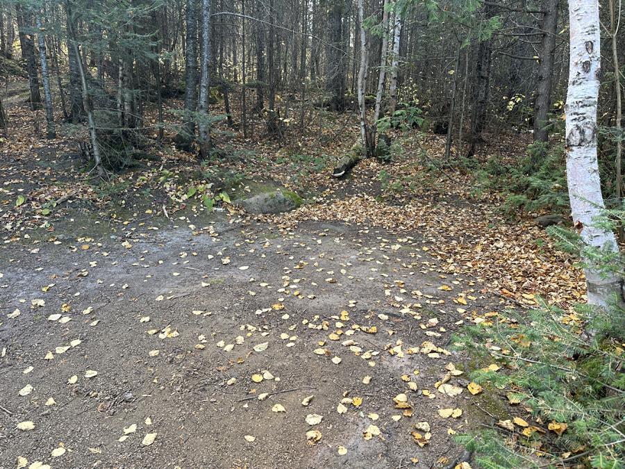 Kelly Lake Campsite 6