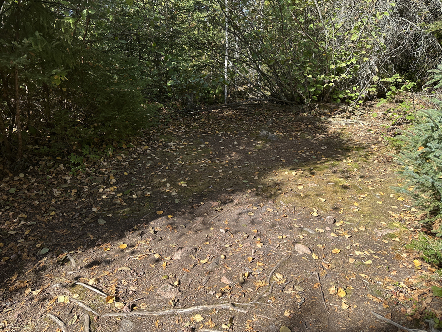 Kelly Lake Campsite 4