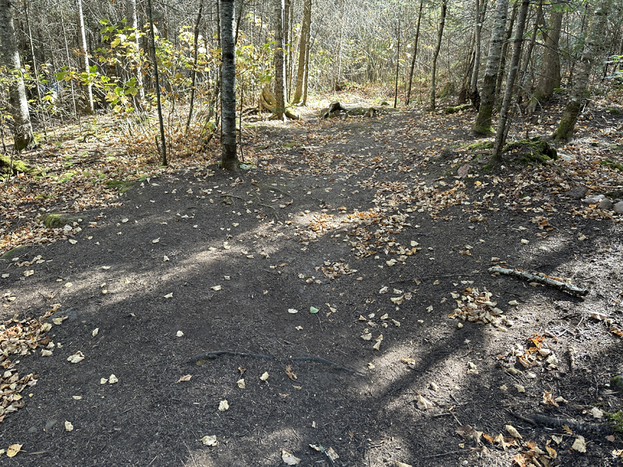 Kelly Lake Campsite 6