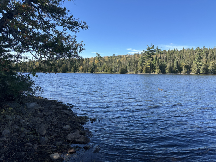 Kelly Lake Campsite 9