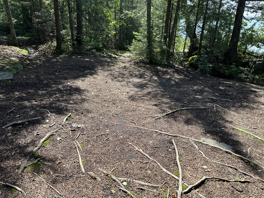 Perent Lake Campsite 5