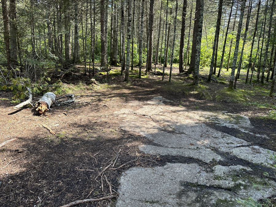 Perent Lake Campsite 6