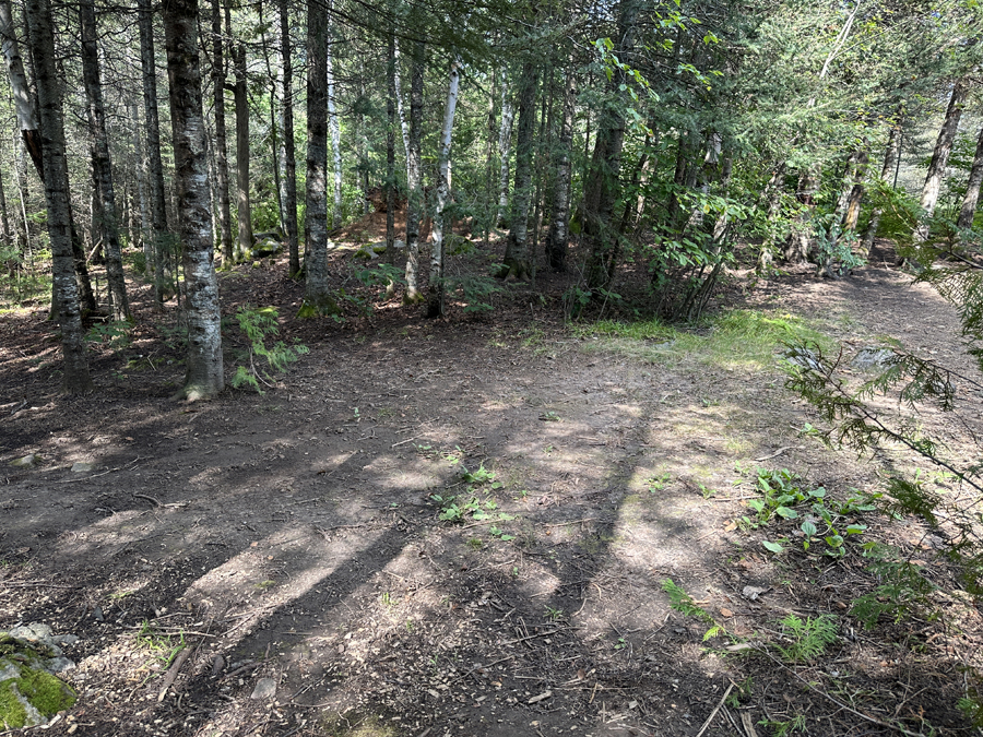 Perent Lake Campsite 6